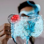 Uloga probavnih organa u svakodnevnom funkcioniranju tijela